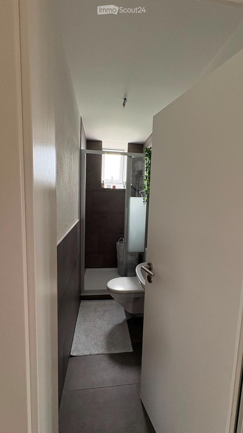 5 1/2 Zimmer EFH Nachmieter gesucht Miete inkl. Nebenkosten (5)