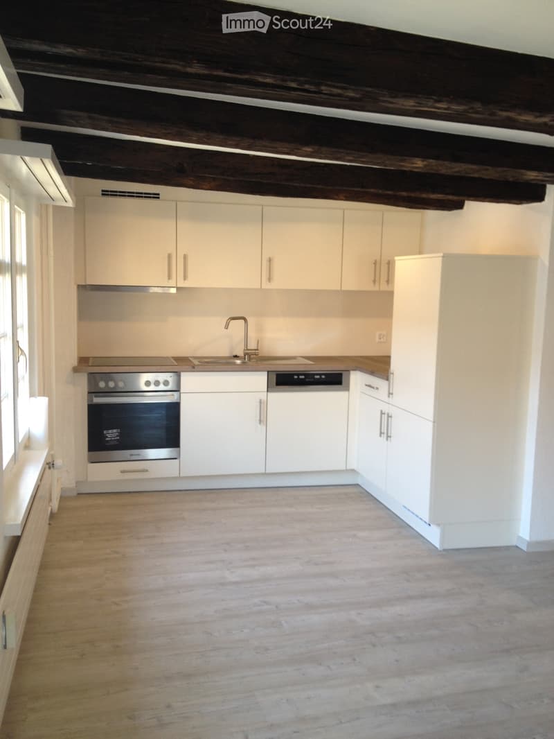 Altstadt von Disentis 2.5 Zimmer Wohnung (1)