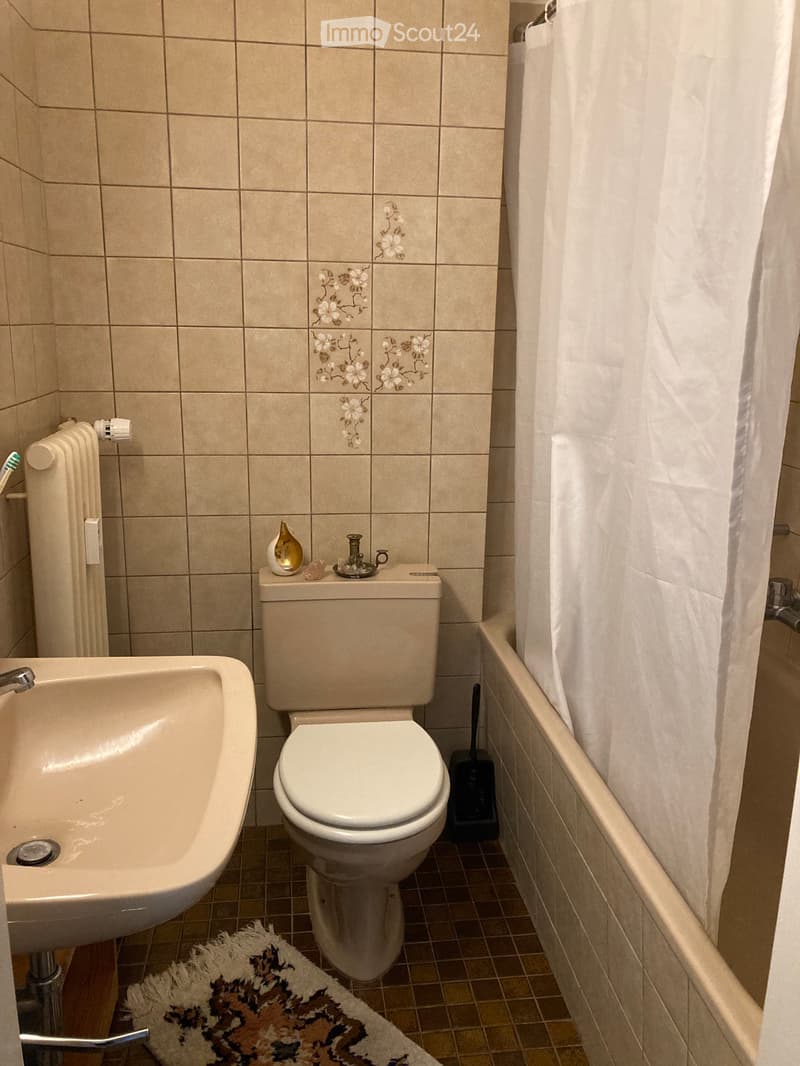 1.5 Zi.-Wohnung Nidau Strandbad (2)
