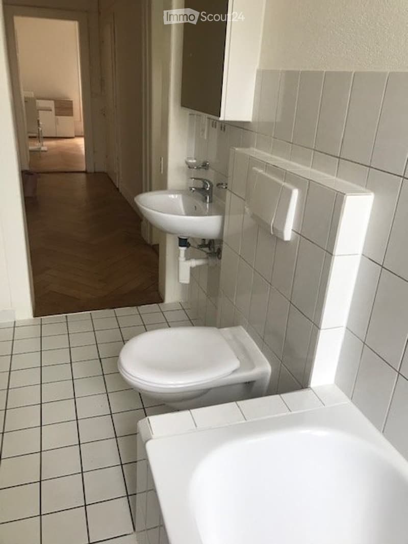 Grosses, möbliertes WG Zimmer Basel, St. Johann (4)