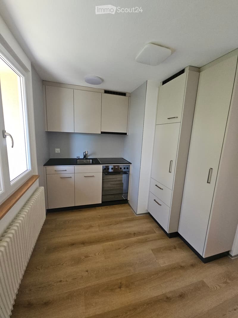 3 Zimmerwohnung mit brandneuen Böden, Küche und Badezimmer! (1)