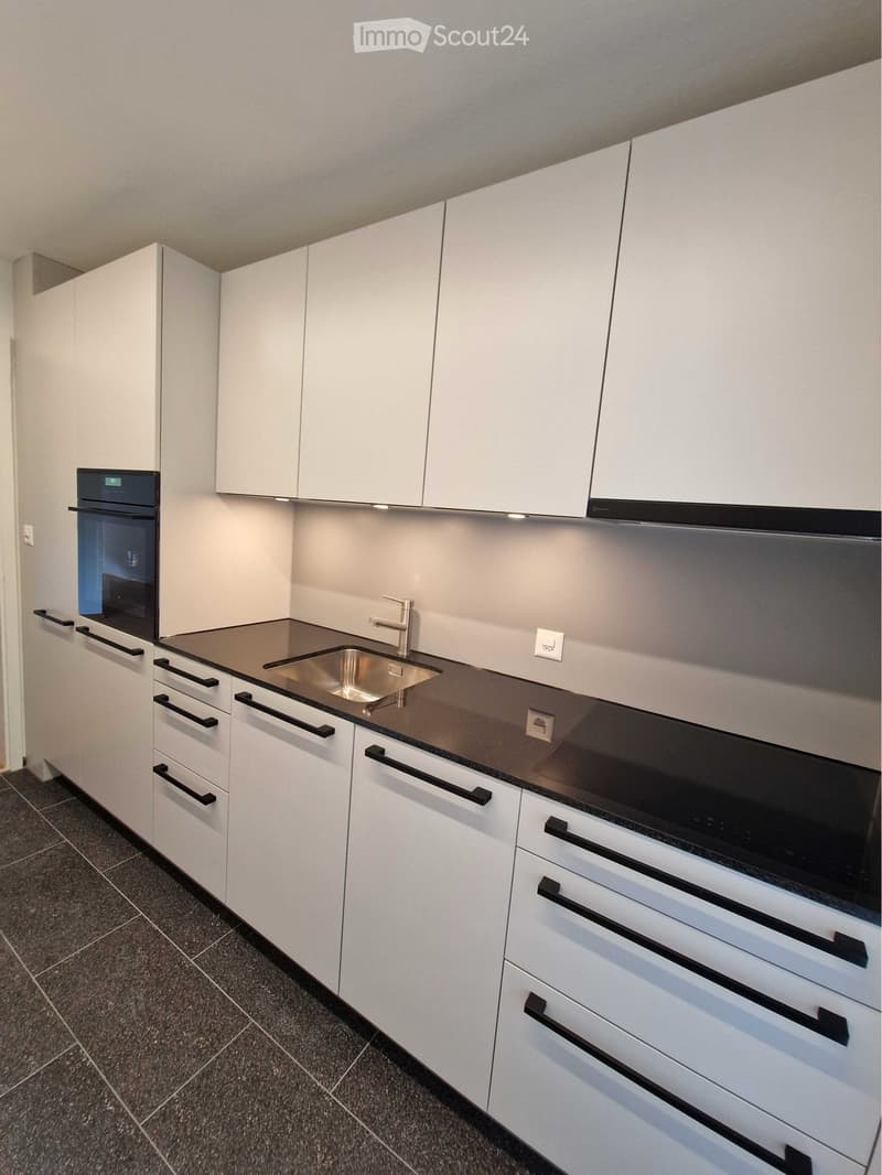 3.5 Zimmerwohnung im Fischermätteli (1)