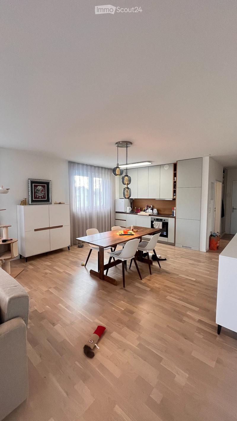 Lichtdurchflutete Wohnung in 5612 Villmergen (2)