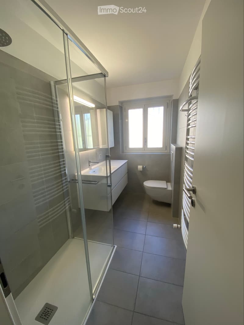 Appartamento di 3 locali e 1/2 in casa bifamiliare a Biasca (2)