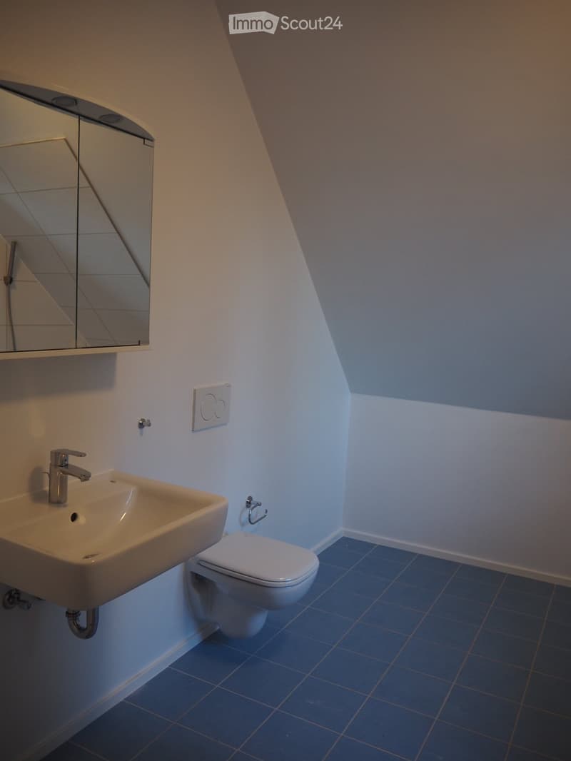 Moderne 3.5 Zimmer-Dachwohnung mit Innenhof (3)