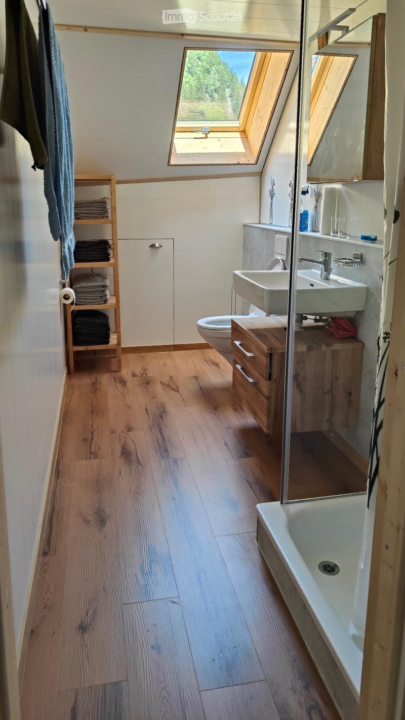 Ruhe und kein Dichtestress: 3-Zimmer-Wohnung in Göschenen (3)