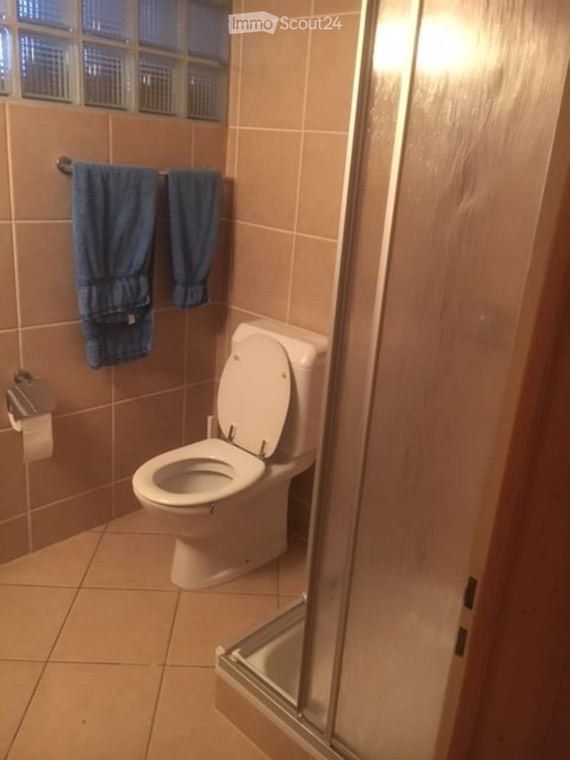 Appartamento arredato di 2 locali in affitto a Massagno (4)