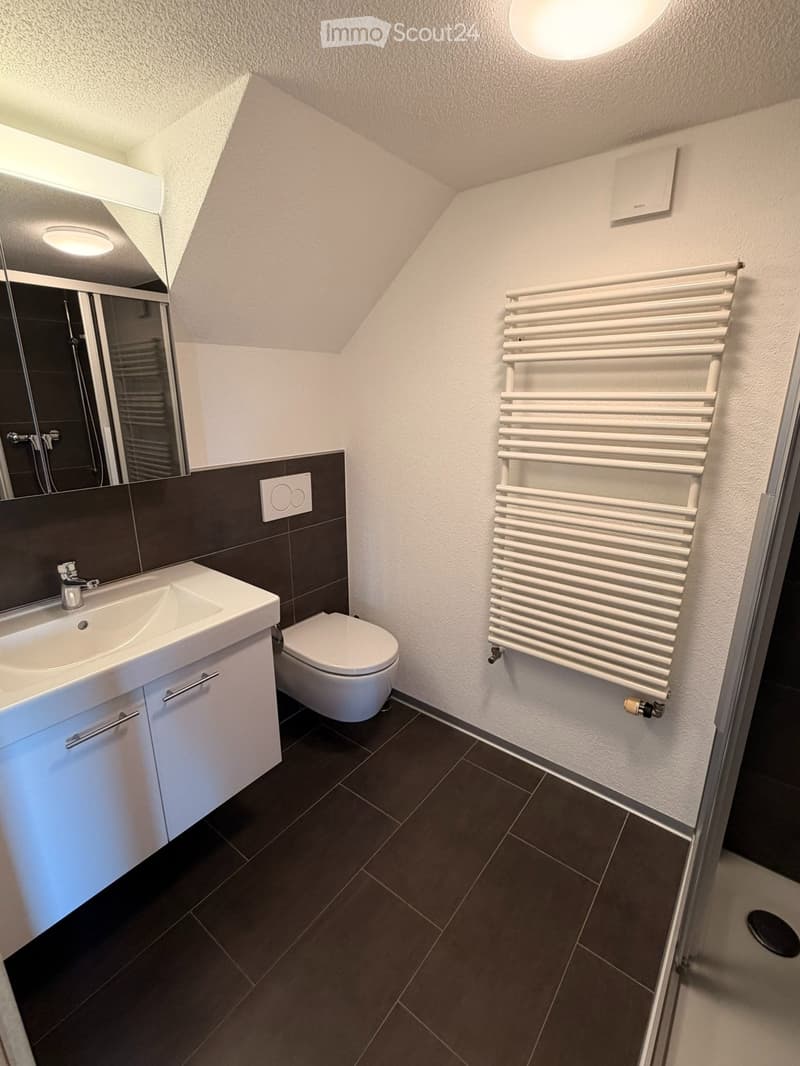2 1/2-Zimmerwohnung (2)