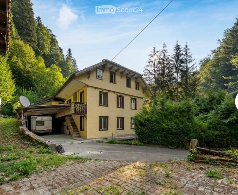 3,5 Zimmer Wohnung (1)