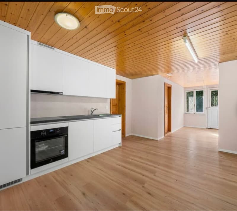 3,5 Zimmer Wohnung (4)