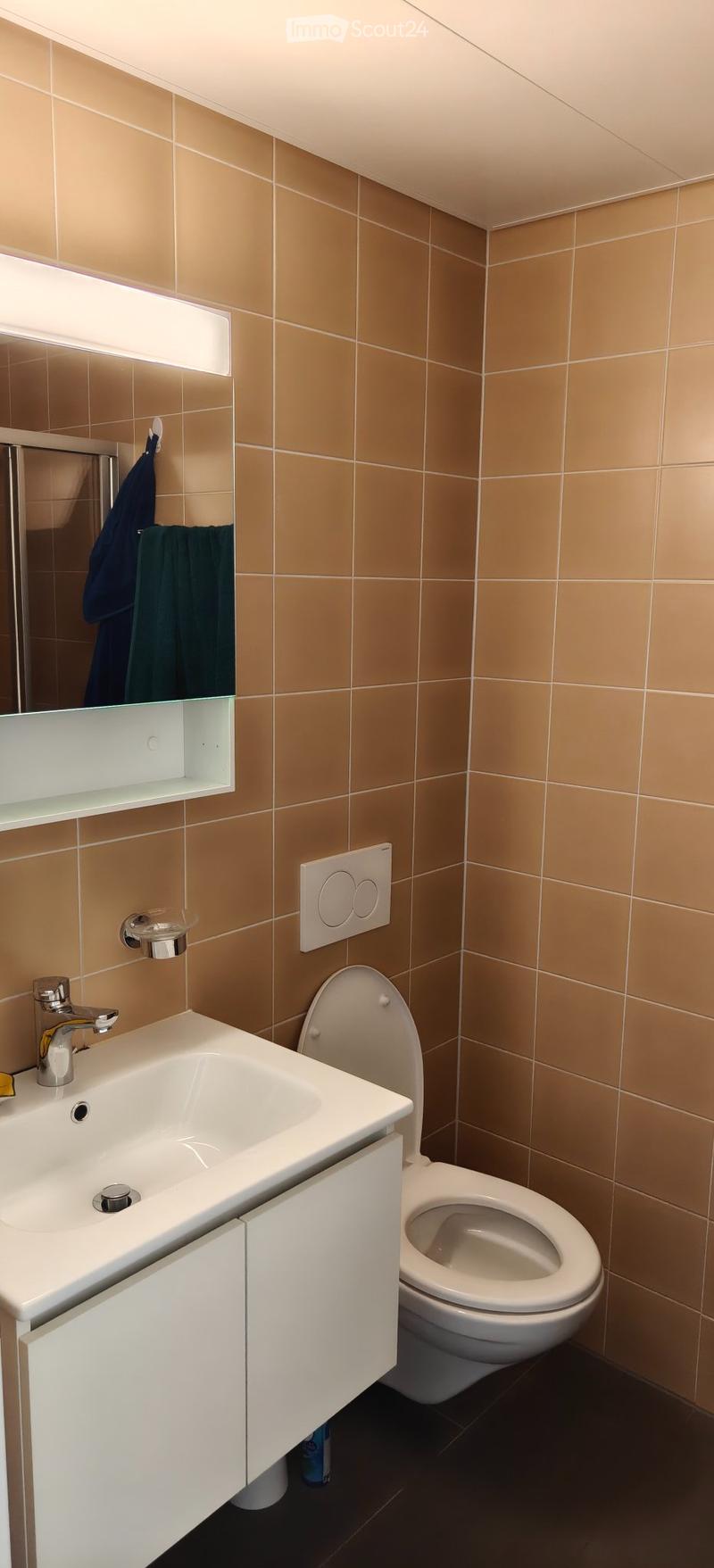 Studio spacieux et meublé à Crissier, charges comprises (4)