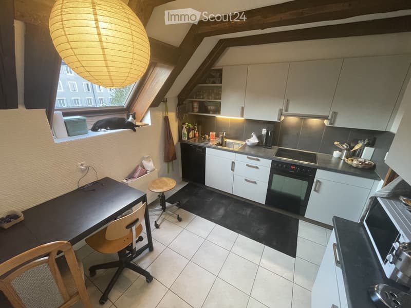 Duplex spacieux et plein de charme (4)