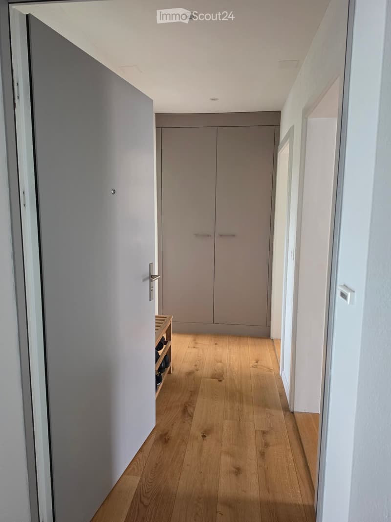 Schöne moderne 2.5 Zimmer Wohnung in Zürich Wiedikon (4)