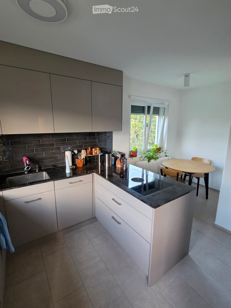 Schöne moderne 2.5 Zimmer Wohnung in Zürich Wiedikon (3)
