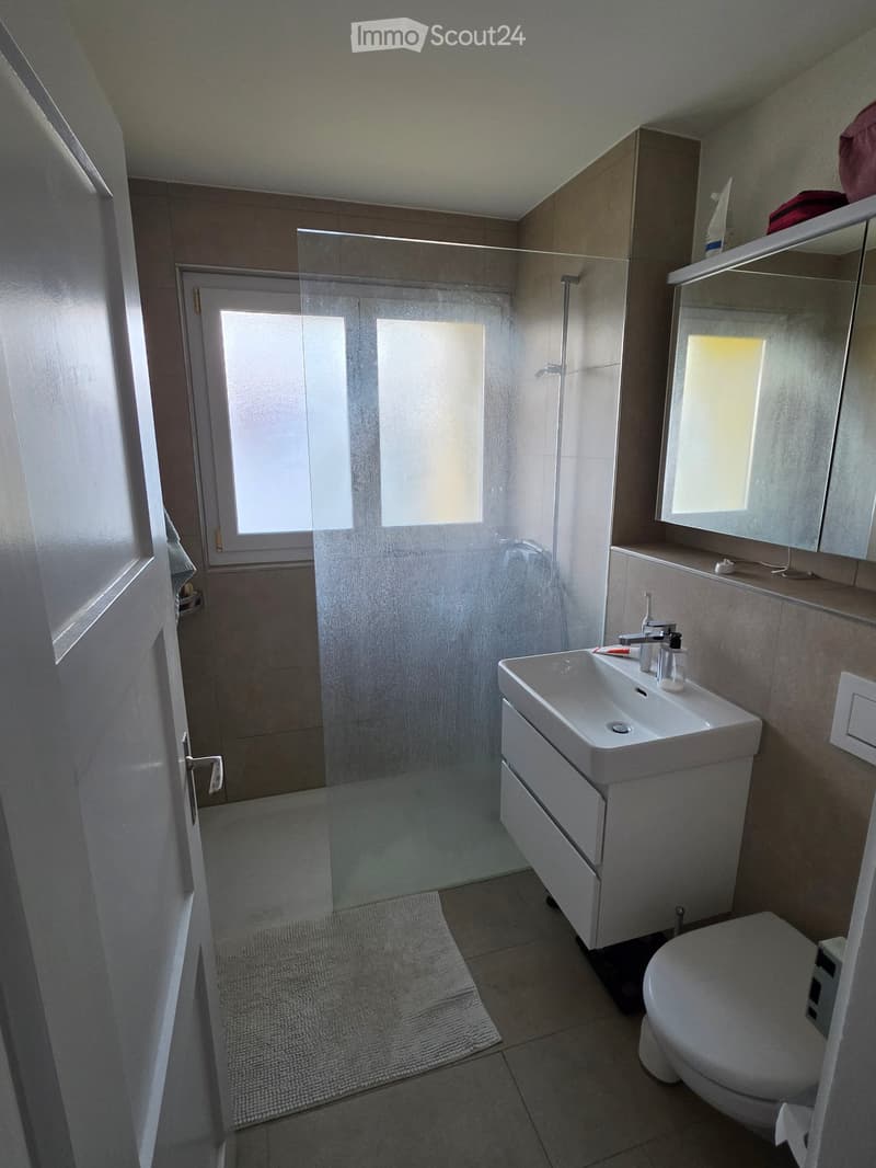 Schöne moderne 2.5 Zimmer Wohnung in Zürich Wiedikon (5)