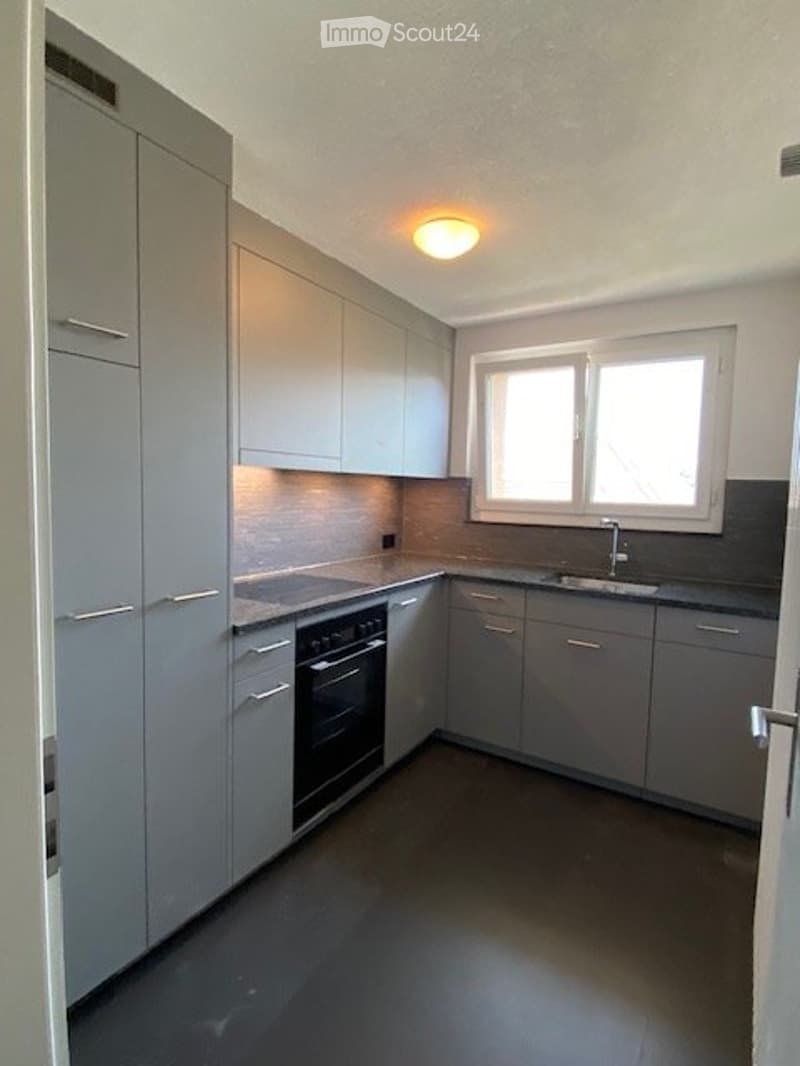 Renovierte 3- Zimmerwohnung mit Balkon, an ruhiger Lage. (3)