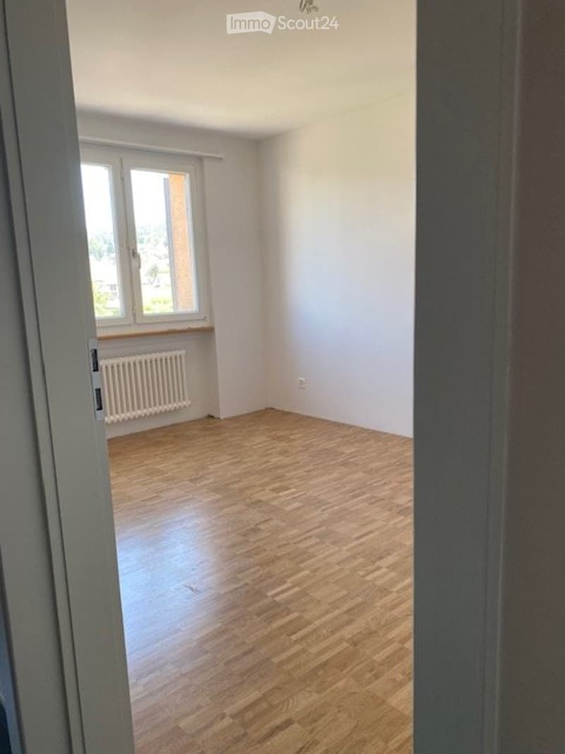 Renovierte 3- Zimmerwohnung mit Balkon, an ruhiger Lage. (5)