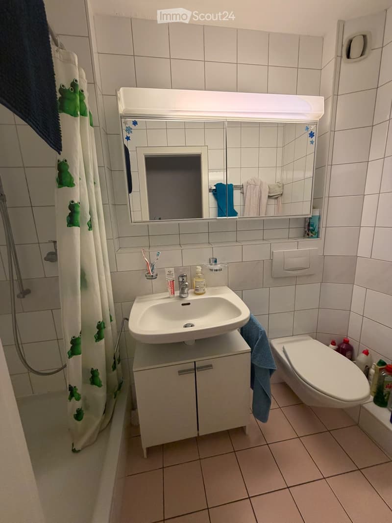 Appartement Fribourg (2)