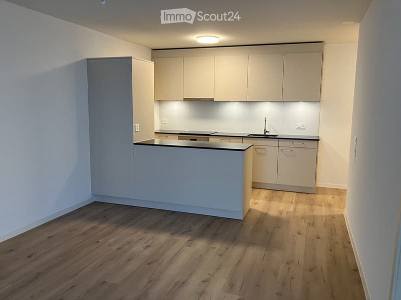 2½ Zimmer Wohnung Parterre mit Sitzplatz (1)