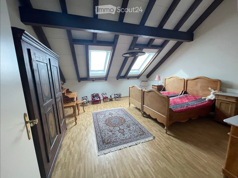 Sehr grosse Dachwohnung mit Gartenanteil (2)