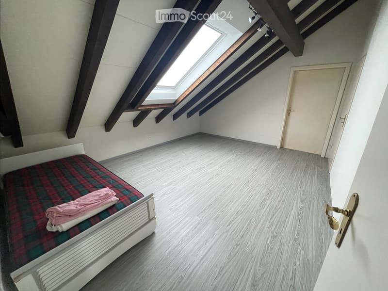Sehr grosse Dachwohnung mit Gartenanteil (3)