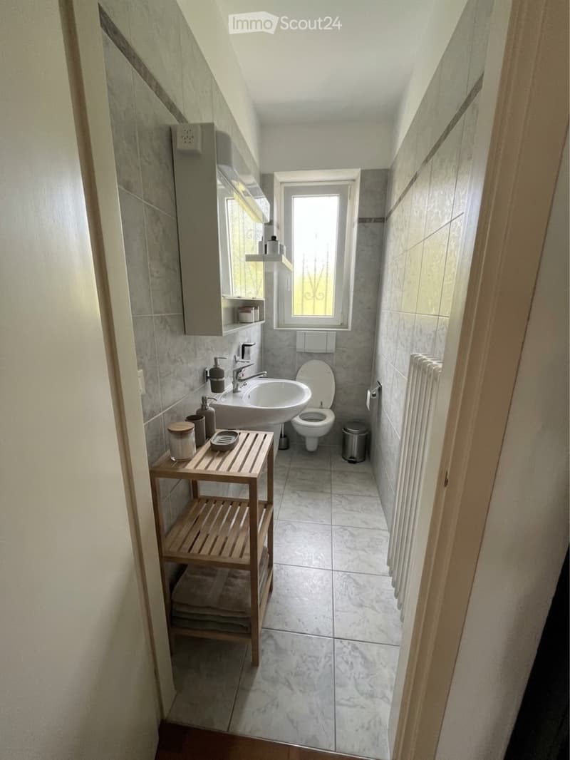 Affittasi 3.5 con Giardino (7)