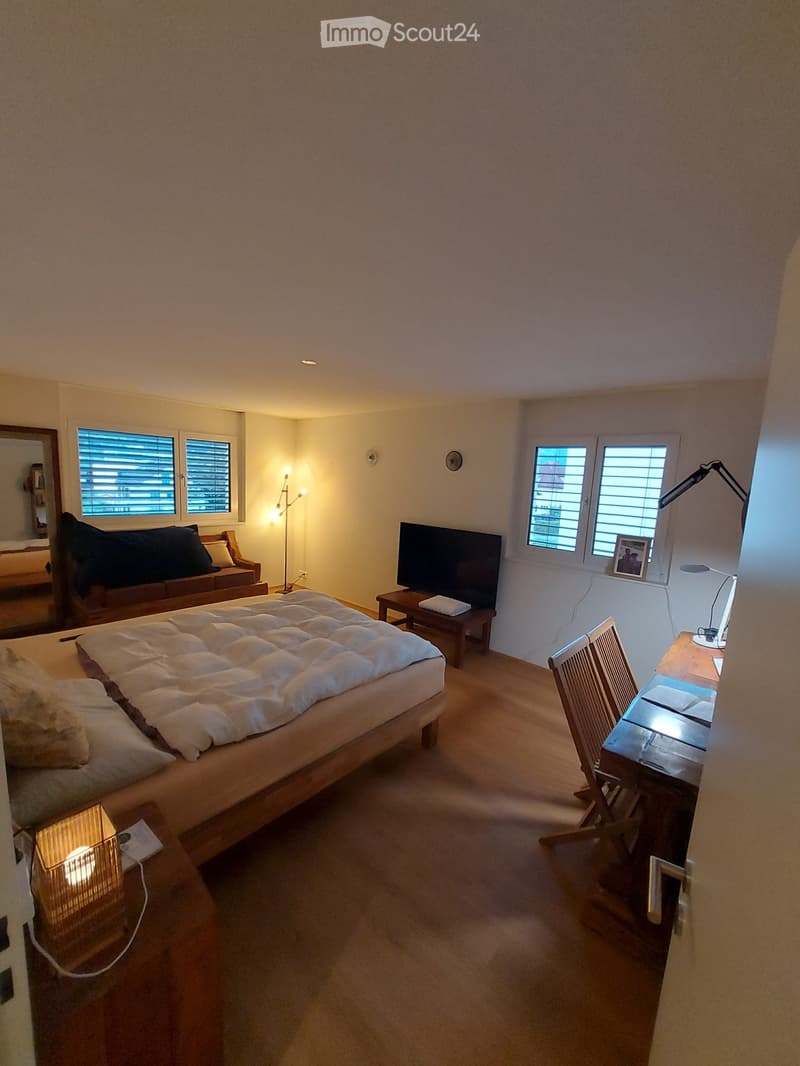 neuwertige sonnige Wohnung (4)