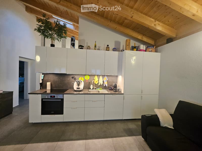 APPARTAMENTO 3.5 LOCALI - RIVA SAN VITALE (3)