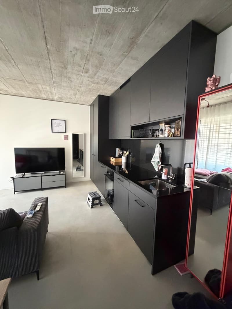 Appartamento 2.5, Residenza al Pianton (2)