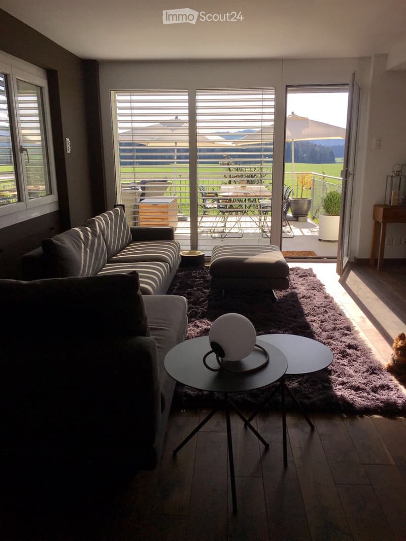 Modernes Einfamhaus mit  Terrasse per 1.11.26 mit Fam. Bonus (4)