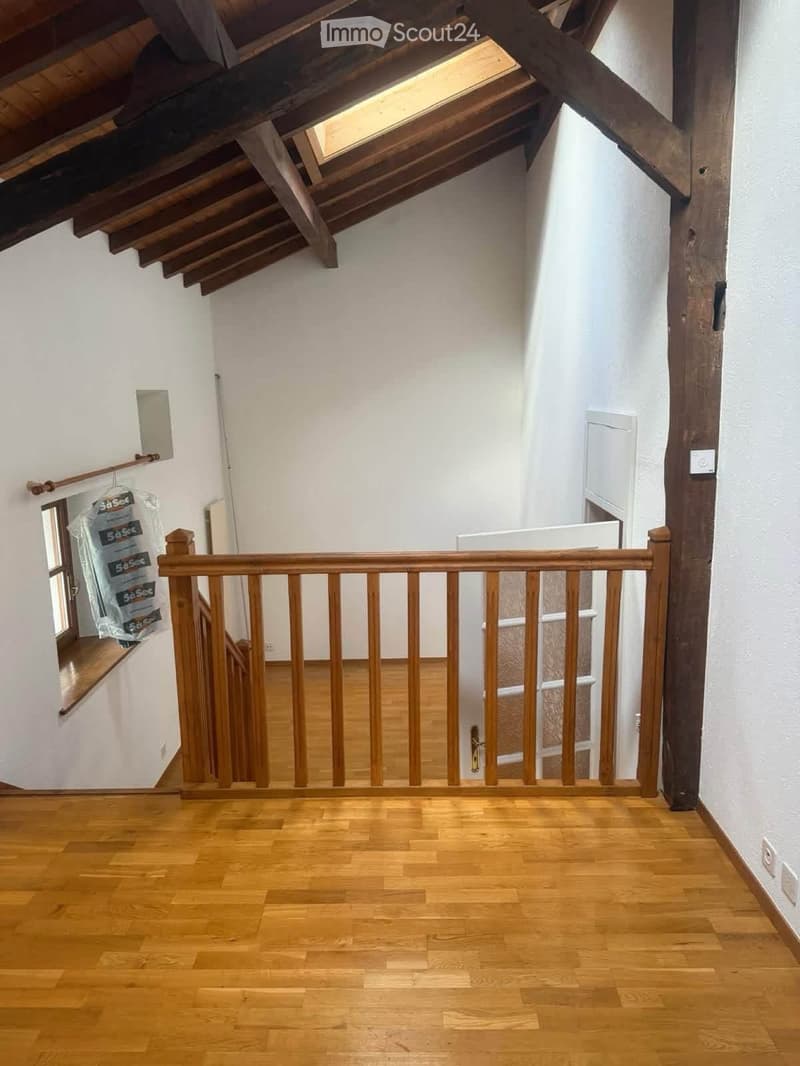 Appartement, duplex Chancy (3)