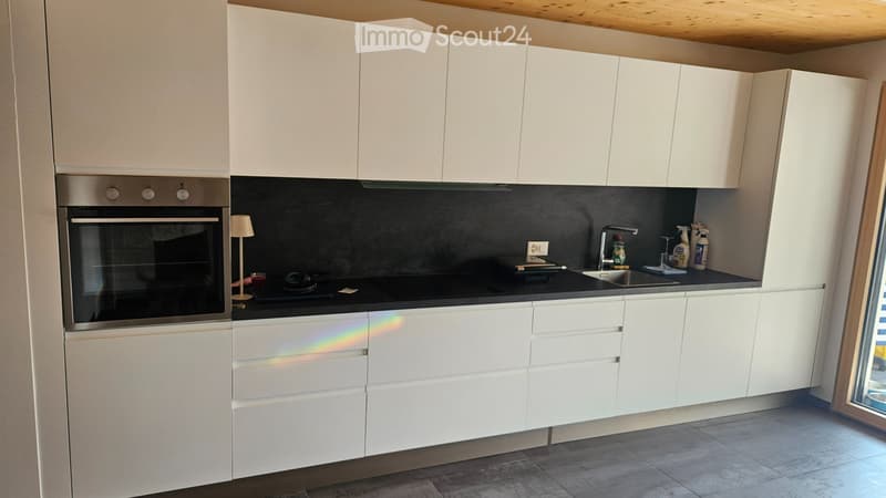Affittasi bellissimo appartamento 2.5 NUOVO (3)