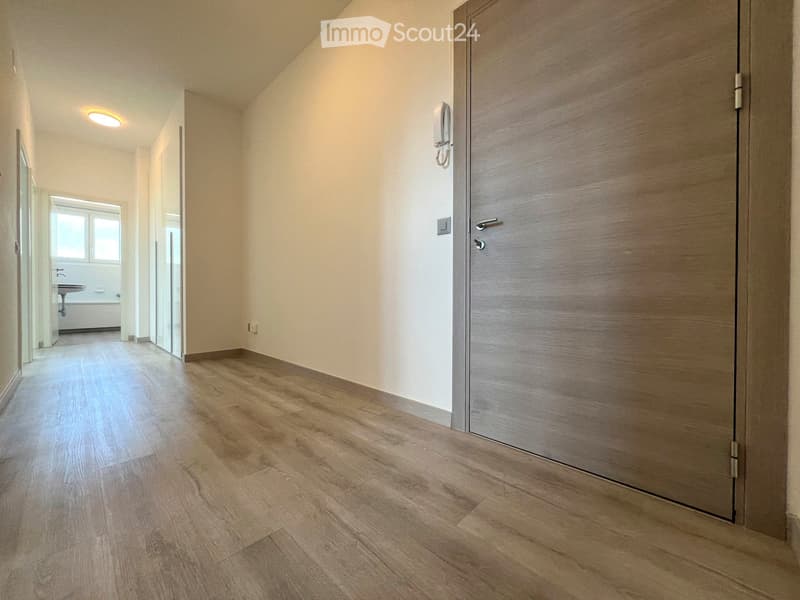Moderno 3.5 locali a Chiasso (3)