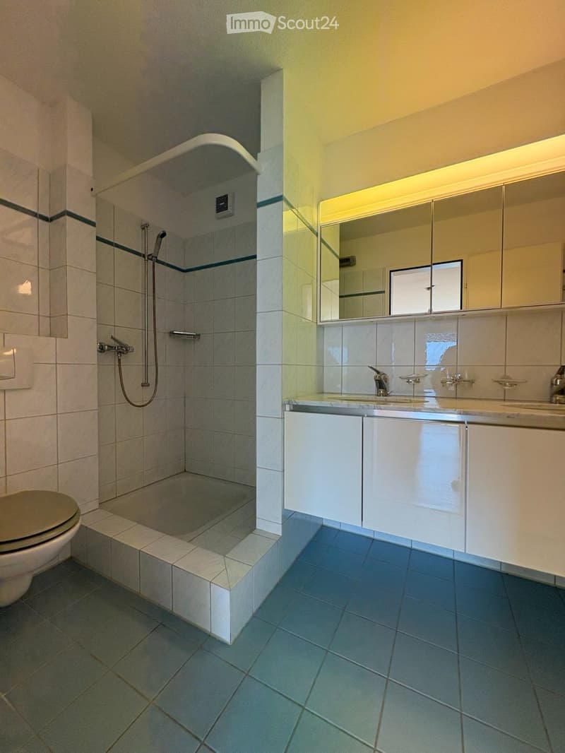Subentrante x Attico duplex con terrazza sul lago (3)