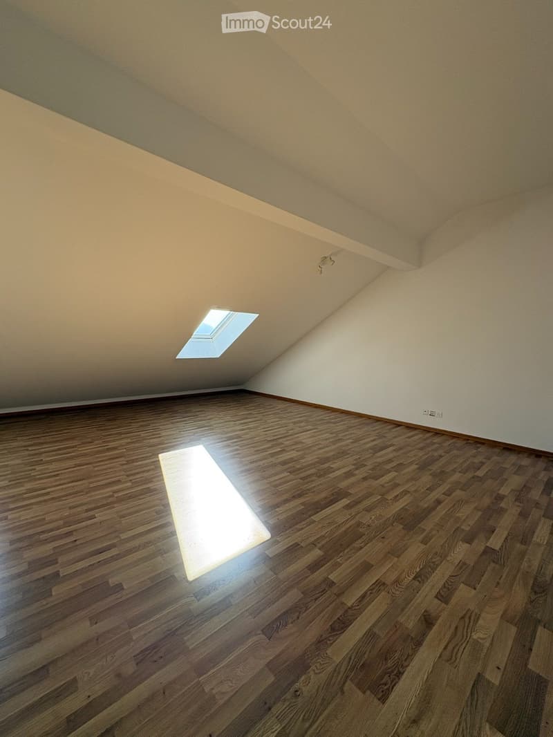 Subentrante x Attico duplex con terrazza sul lago (7)