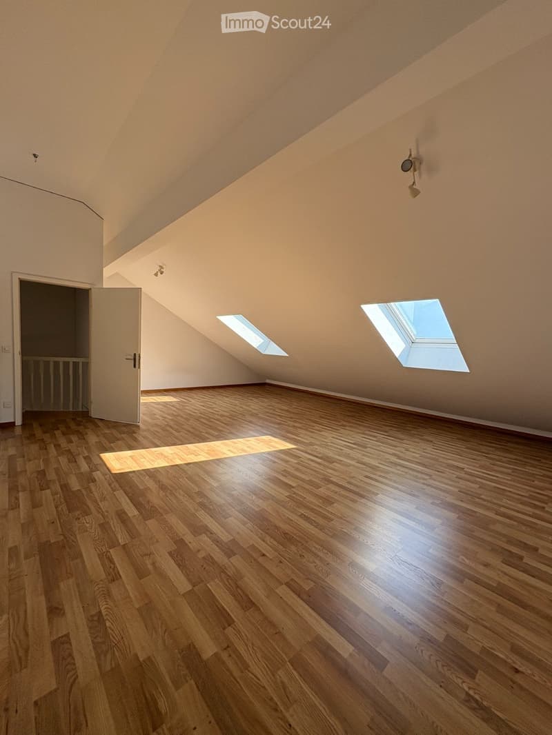 Subentrante x Attico duplex con terrazza sul lago (8)