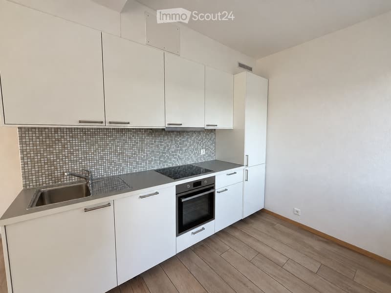 4.5 locali ristrutturato a Mendrisio (1)
