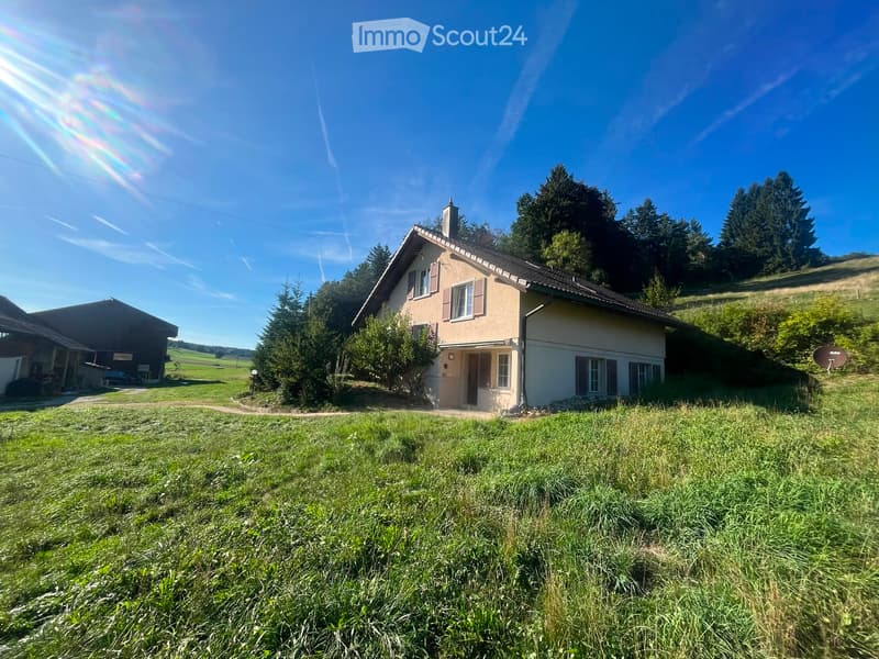 Einfamilienhaus im Grünen (1)