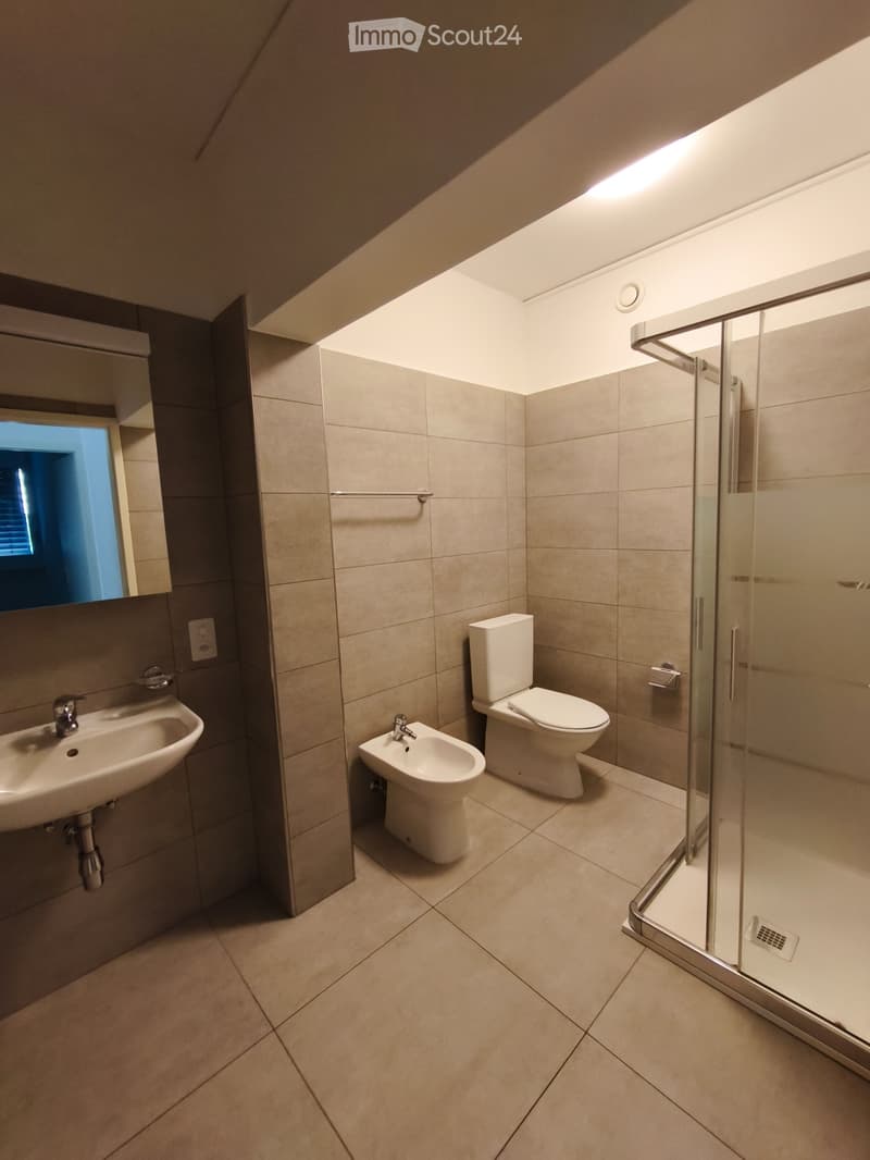 Beautifil and completely new apartment in Chiasso (4)