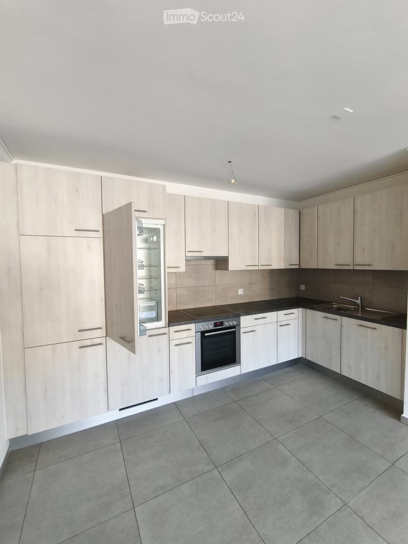 Beautifil and completely new apartment in Chiasso (3)