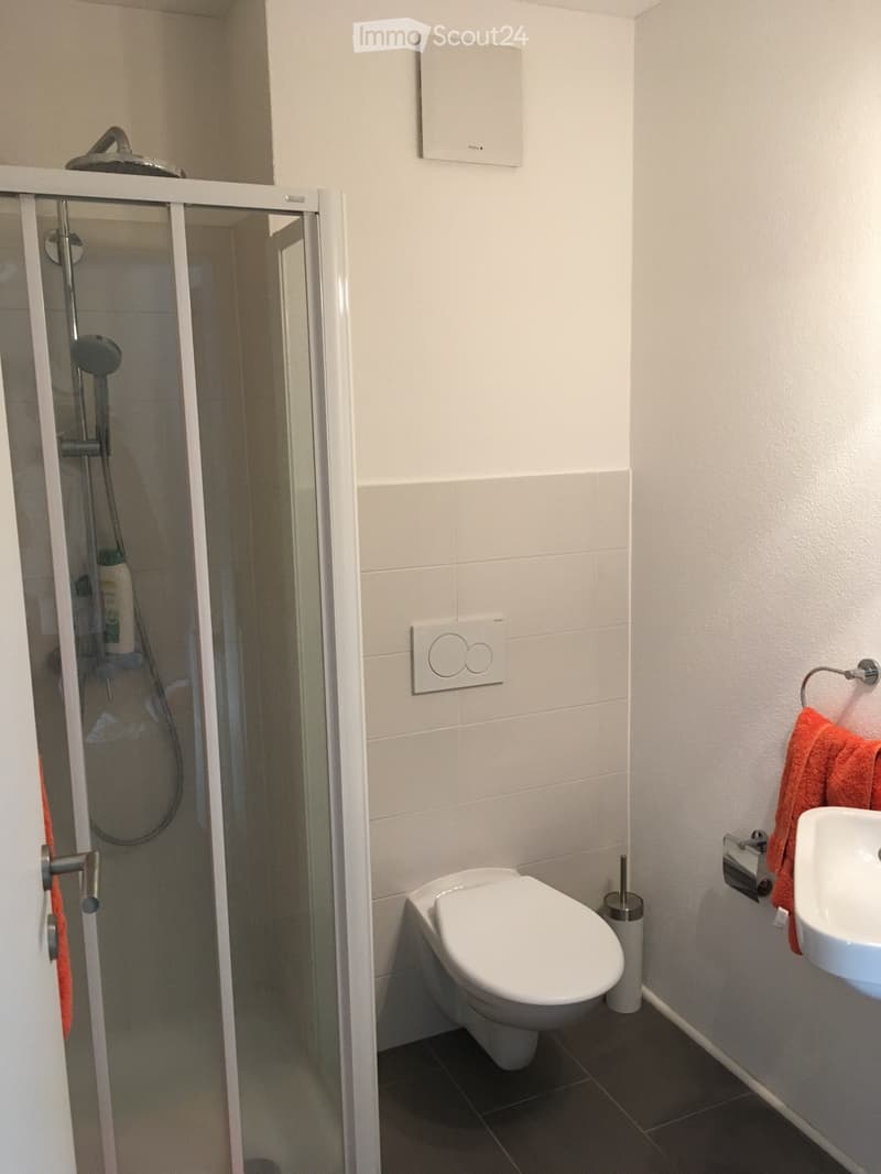 Grande e luminoso appartamento di 3 locali con ampio terrazz (4)