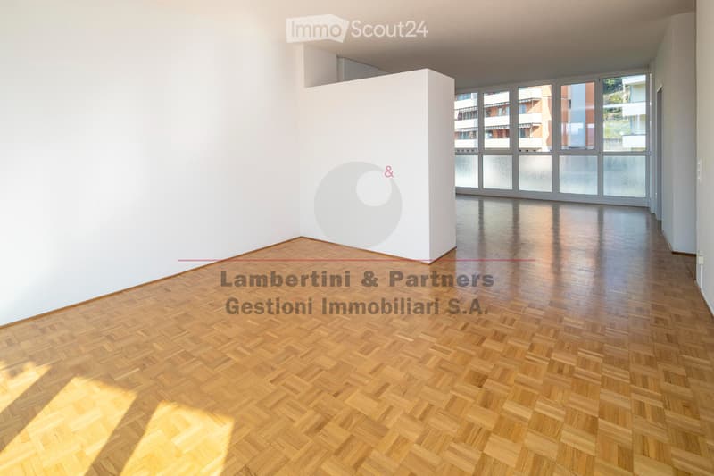 APPARTAMENTO 2.5 LOCALI a Balerna (4)