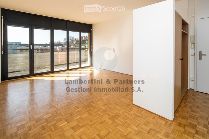 APPARTAMENTO 2.5 LOCALI a Balerna (3)