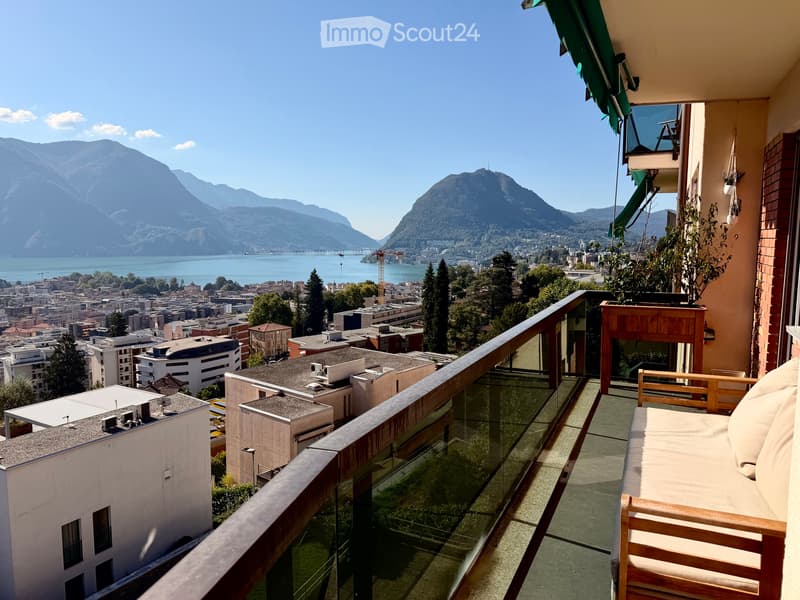VISTA LAGO - Luminoso appartamento di 3.5 locali a Massagno (1)
