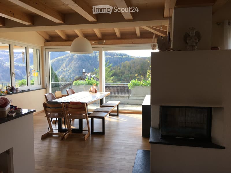 Top EFH an Sonnenhang mit unverbaubarer Weitsicht (2)