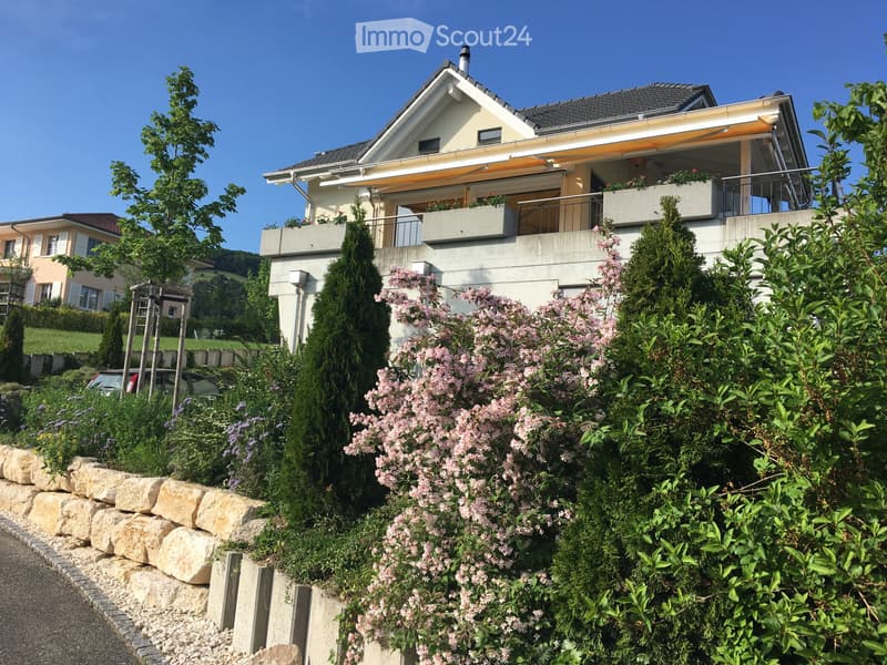 Top EFH an Sonnenhang mit unverbaubarer Weitsicht (1)