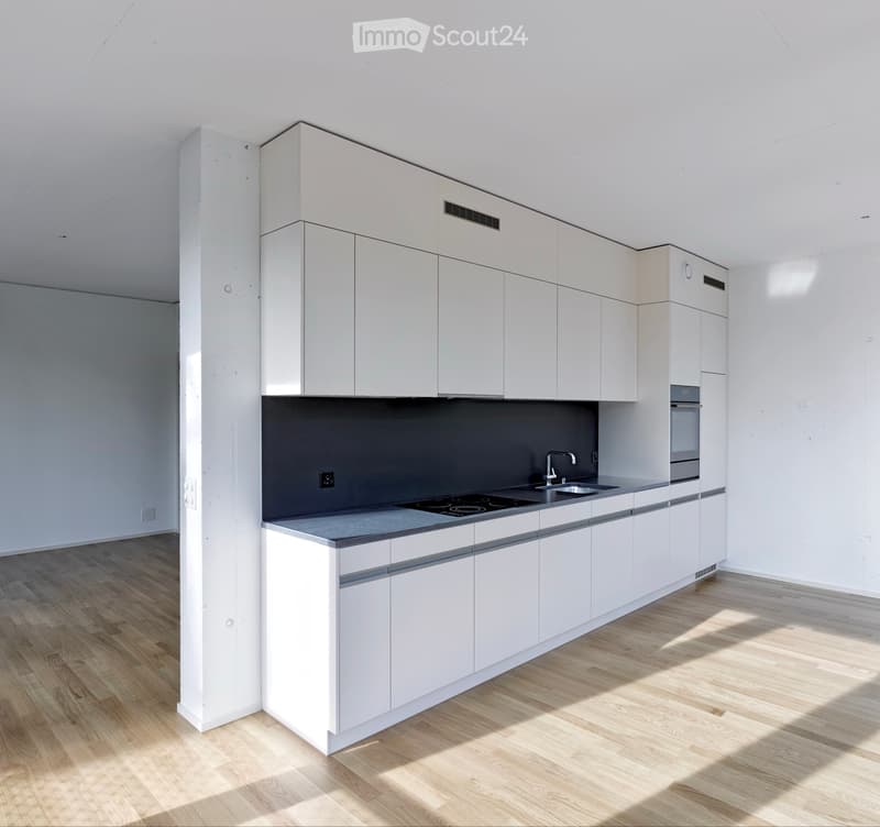 3.5 Zimmer Bern (Brünnen) - 73,7 m² + 37,3 m² Terrasse (2)