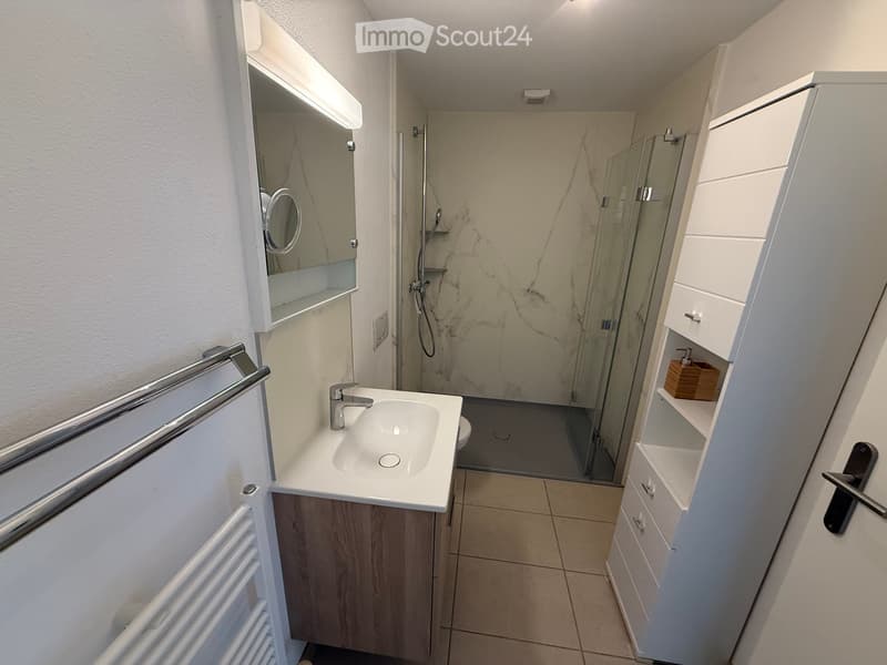 möblierte 3 1/2 Zimmer Ferienwohnung für Ganzjahresmiete (4)