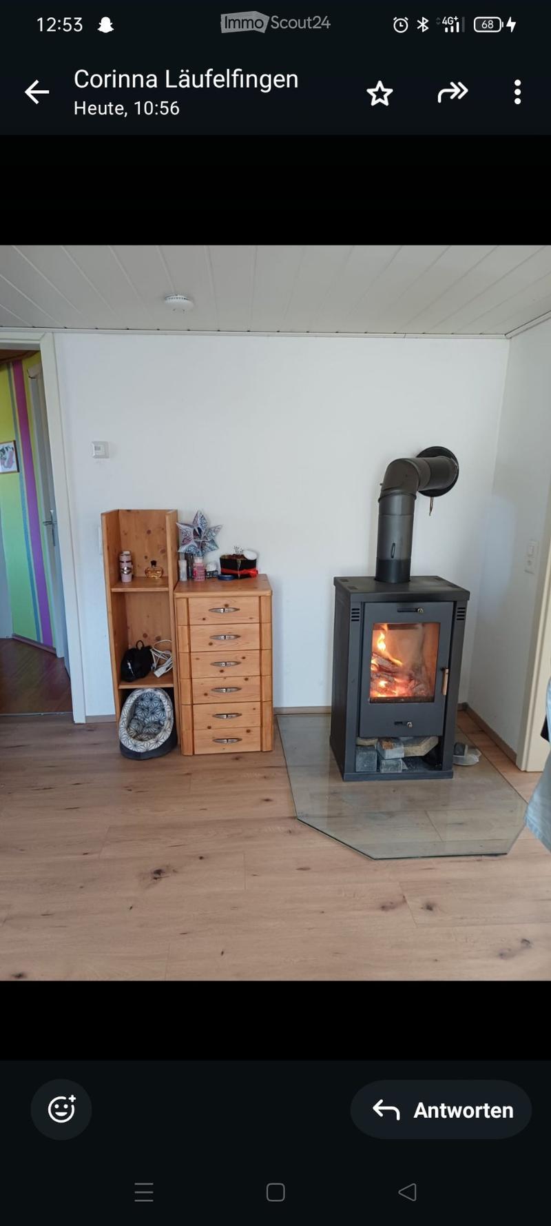 6,5 Zimmer Altbauwohnung mit grosser Terrasse und Grünfläche (3)