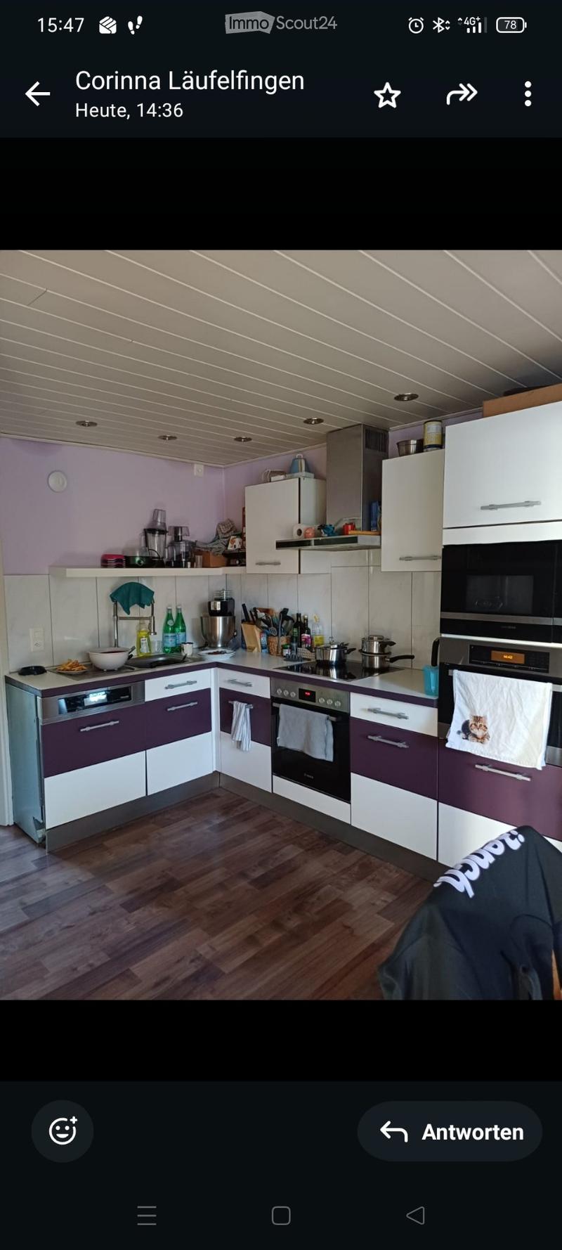 6,5 Zimmer Altbauwohnung mit grosser Terrasse und Grünfläche (1)